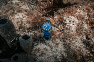 Pacific Diver, 44MM - 3125.FB