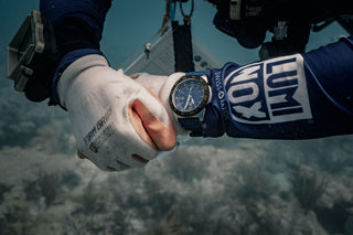 Pacific Diver, 44MM - 3125.FB