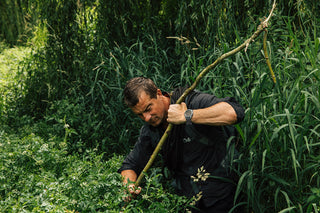 Bear Grylls SURVIVAL, 43MM - 3716