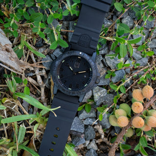 Leatherback SEA Turtle Giant, 44MM - 0321.BO.L