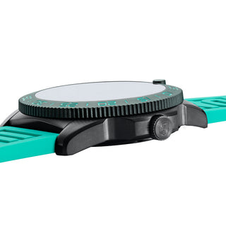 Pacific Diver, 44MM - 3124N.SET - Édition Limitée